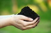 Make tuin bodem van bijna alle vuil