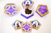 HoneyDukes chocolade Frog box (Harry Potter verjaardag partij gunsten)