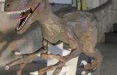 Standbeeld van de Velociraptor en hoofd van de T-Rex