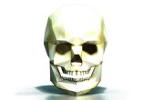 DIY 3D Skull masker van papier