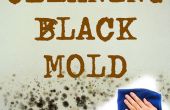 Schoonmaak badkamer Mold(black Mold)
