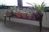 4' Midcentury-stijl Plant Bench