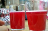 How To Make Cranberry Soda! 