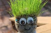 Kapsel Chia Pet Grass Heads!  Ideaal voor de zomervakantie! 