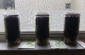 DIY vensterbank Mason Jar kruidentuin