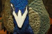 Peacock schalen en rok