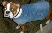 Maak een beklede hond jas uit gerecycled denim en een sjaal kostenloos! (of bijna) 