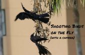 Fotograferen van vogels op de vlieg (met een camera)