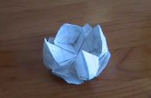 Origami drijvende Lotus