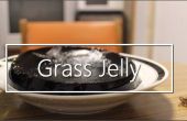 GRAS Jelly?! 