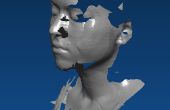 Voorbereiding van 3D scant voor afdrukken in 3D, met Rhino en Netfabb Pro
