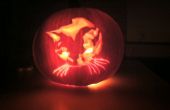Gedetailleerde Pumpkin Carving (foto van mijn kat)