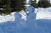 Calvin en Hobbes sneeuw kanon en sneeuwpop