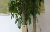 Arduino Smart Home voor milieu boom