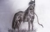 Mijn paard tekening