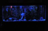 LED Aquarium Moonlights