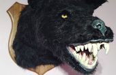 Weerwolf taxidermie hoofd