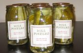 Dille Pickles maken