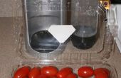 Tomaten carbonating