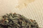 How to Make Colofonium (cannabisextract)