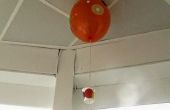 Hete lucht ballon Project