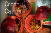 Hoe te bederven uw kluizenaar krabben: kokosnoot kasteel
