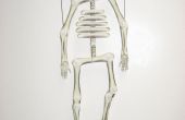 Stix naar Bones - skelet Puppet