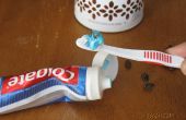 Bug in de tandpasta prank
