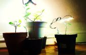 Draagbare Plant-Light