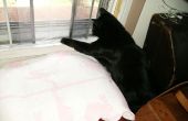 Hoe maak je een kat portiek in een verwisselbare window scherm