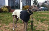 Greyhound vacht van oude fleece vest