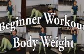 Full Body Beginner Home Training
