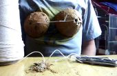 Hoe maak je een kokosnoot BH