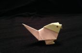 Een Origami Parrot