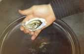 Techniek d'ouverture des huîtres / techniek van opening van oesters