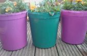 Maak uw eigen kleurrijke plant potten