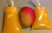 Bevroren Mexicaanse Mango vrucht behandelen, Helados de bolsa. 
