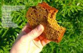 Vurige pompoen brood-Cake (GF)