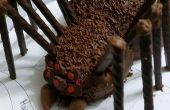 Mini Spider taart