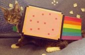 Nyan Cat-Pet kostuum