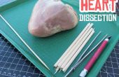 Hart dissectie