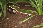 Een gitaar voor de tuin (planter)