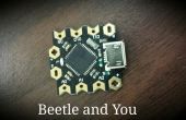 Kever: Minimaliseren uw Arduino projecten