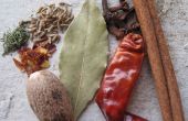 Het gebruik van kruiden en specerijen in de keuken