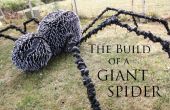 Het bouwen van een reusachtige spin