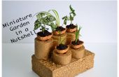 Miniatuur tuin in notendop