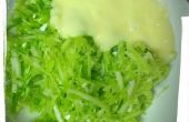 Kindvriendelijke Broccoli Slaw