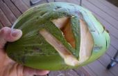 Hoe te openen en een kokosnoot Drink