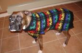 Lelijke hond trui