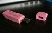 Roze gum USB Flash Drive